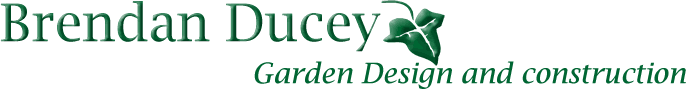 Brendan Ducey